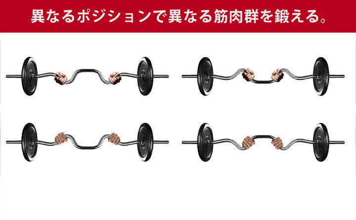 楽天市場】PROIRON筋トレ レギュラーWバー/ ダンベル ezバー ベンチ 