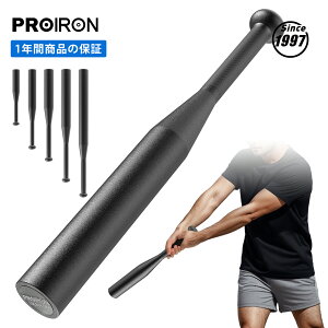 ySALE 15%OFFIzPROIRON Nux CfBAobg CfBAx XeX wr[Nu 싅obg obg_x Or ؗ̓g[jO _xg[jO ̊ 5