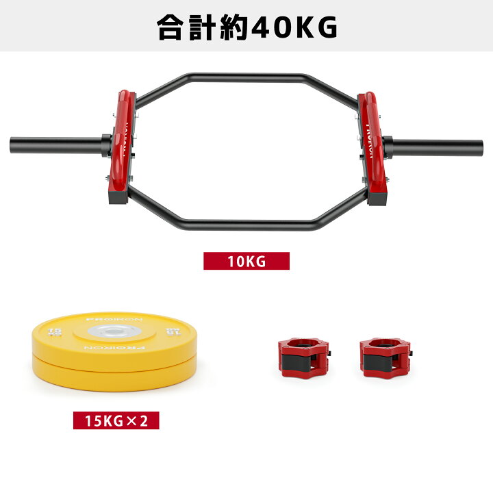 楽天市場】PROIRON ダンベル プレート バーベル プレート 5~25kg 2点 