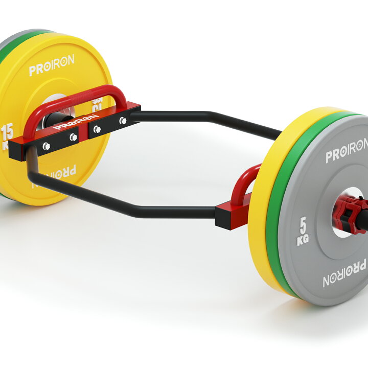 楽天市場】PROIRON ダンベル プレート バーベル プレート 5~25kg 2点 
