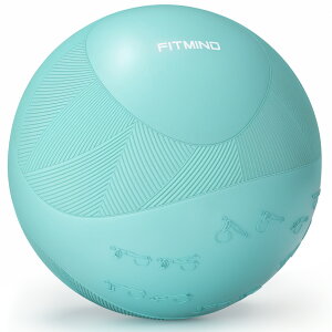 FITMIND �o�����X�{�[�� �o�����X�ځ[�� 55cm 65cm 75cm ���K�|�[�� �ځ[�� ���n�r�� �{�[�� yoga ball �G�N�T�T�C�Y�{�[�� �q�� �玙 gymnastic ball ���� �A���`�o�[�X�g �ω׏d300kg �n���h�|���v�t 4�F