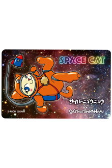 NY@BRICKSpaceCat