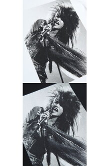 Amplifier“ZIGGY”TEEdesignA《2017年7月発売予定》