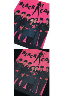 Amplifier“BLACKCATS”TEEdesignC《2017年8月発売予定》