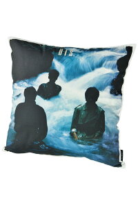 VINYL �gTHE ROOSTERS�h CUSHION DIS.