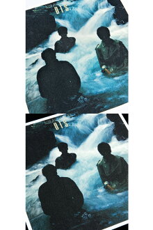 VINYL“THEROOSTERS”TEEDIS.《2017年12月発売予定》