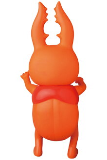 クワガタ《2017年2月下旬発送予定》