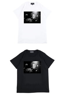 Amplifier“THESTALIN”TEEdesignA