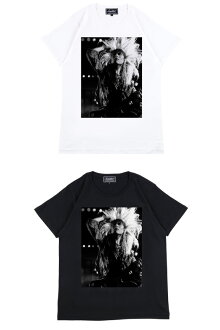 Amplifier“hide”TEEdesignB《2018年6月発売予定》