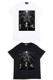 Amplifier “ニューロティカ” TEE design B