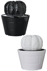 【メディコム・トイ公式】VCD Euphorbia obesa GLOSS BLACK／GLOSS WHITEVINYL COLLECTIBLE DOLLS ヴァイナルコレクティブルドールズ MEDICOM TOY メディコムトイ フィギュア ソフビ ソフトビニールフィギュア コレクションフィギュア