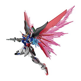 RABANDAI SPIRITS(バンダイ スピリッツ) HGCE 機動戦士ガンダムSEED DESTINY デスティニーガンダム 1/144スケール 色分け済みプラモデル