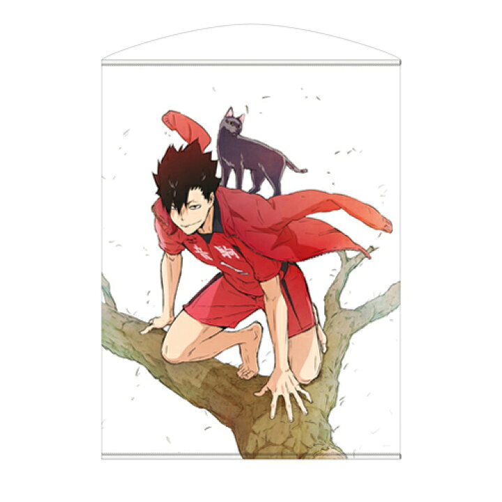 楽天市場 コスパ ハイキュー To The Top 黒尾鉄朗 100cmタペストリー 22年1月再販予定 予約商品 project core 楽天市場 コスパ ハイキュー To The Top 黒尾鉄朗 100cmタペストリー 22年1月再販予定 予約商品 project core