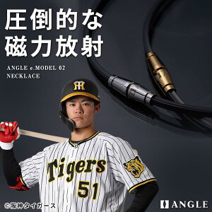 NEWyWBC\I蒅pzANGLE AO e.f02 ClbNX 싅I X|[c v`i R Ë@  sP  Y fB[X