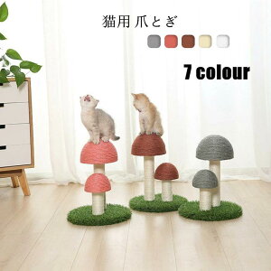 Lbg^[ ܂Ƃ ܂Ƃ|[ LmR^Cv L ˂  ybgp   Vn XgXU ^s΍ Lpi lGKp yVCOʔ