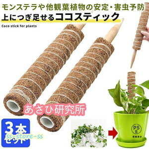 RRXeBbN 3{Zbg Xe x ϗtA  v^[ Aؔ A |x ϗtx K[fjO RRXeBbNx