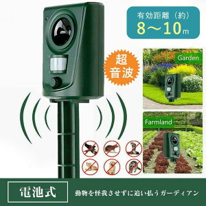  L悯 L悯΍  dr ԏ  CmVV ACO}΍ Qb g  ǔL  L tȒP