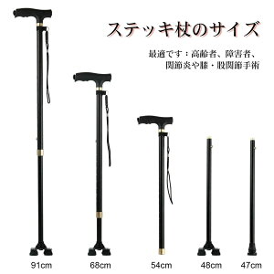 XebL Lk    l_x y p jp LEDCg 10iK  68cm~91cm  Lk\ sx ԎU V v[g