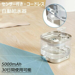 ݊  ZT[t R[hX L  XeX 2Le Ή 20dBÉ 􂢂₷  tȒP ybg   É ybgLbg yb