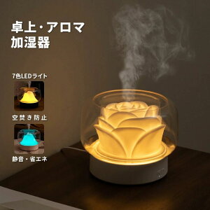 加湿器 ペットボトル 加湿器 卓上 アロマ デスク 小型 超音波式 上から給水 7色LED搭載 卓上 空焼き防止 静音 除菌 省エネ 乾燥 20時間連続加湿 おやすみモード コンパクト ミスト量2段階調整