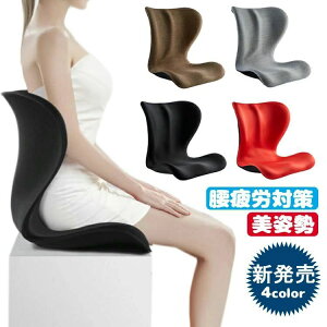 座椅子 ゆがみ 座椅子 腰痛 チェア 椅子 スタイル イス 猫背 骨盤 クッション 腰ボディメイクシート オフィス スタイル 座いす 骨盤矯正 コンパクト 腰痛 姿勢 美姿勢 猫背 椅子 イス クッシ