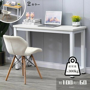 p\RfXN fXN pcfXN RpNg X k p\RbN PCbN e[u[100cm s60cm@73cm] l炵 rO wKfXN ׋ C-62