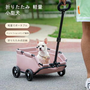 SSG SHOP Vpi 4 ybgJ[g   ܂肽 y ^ ^  ܂肽 y  L ybgpi oM[ hbOJ[g ybgL[ ܂  L ܂肽݃yb