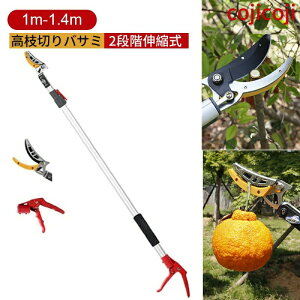 }؂nT~ } Lk}؂ } | ͂ K[fjOpi 1m-1.4m