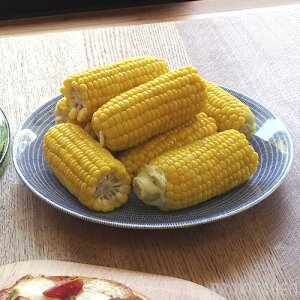 ArA@24h@AxbN@v[g@26cm@u[@/@ARABIA@24h@Avec@/kH mH  Mtg v[g W I[u H@ M ێM v[g 