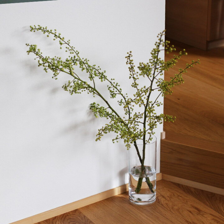 楽天市場 ボヘミアクリスタル フォーユアホーム フラワーベース 255mm Bohemia Cristal 花瓶 ドウダンツツジ 枝 母の日 プレゼント ギフト プロキッチン