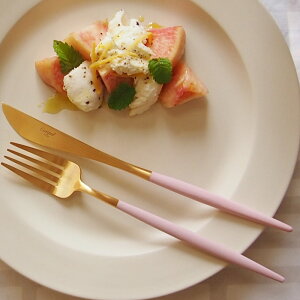 N`|[@SAEsN@S[h@fU[giCt@/@Cutipol@GOA-Pink@/@y6_܂ŃlR|XzyKAiz Jg[ Mtg j Vzj 