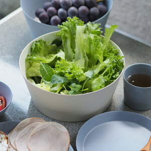 イデアコ ウスモノ サラダボウル サンドホワイト / ideaco /アウトドア ピクニック キャンプ 軽い バンブーメラミン 割れない食器 おしゃれ 子ども用 食洗機対応 エコ食器