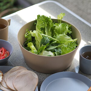 CfAR@EXm@T_{E@\Cx[W@/@ideaco@/AEghA sNjbN Lv y ou[~ ȂH  qǂp H@Ή GRH