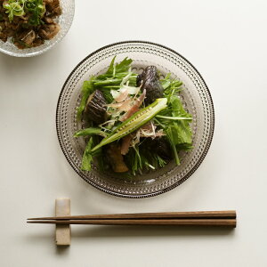 Cb^@JXew~@v[g@17cm@l@/@iittala@Kastehelmi@/@KX@M pM fU[gM KX KX̃v[g kH Mtg v[g