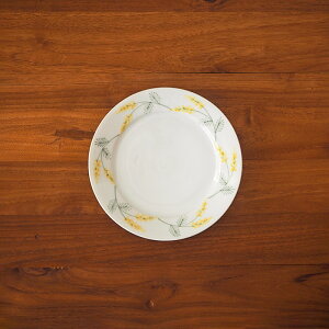 y12/5N[|ő100PobNziVSq@FG~U@6M@/@M v[g 18.5cm FG ~U M M aH J  { Ƃ Vv