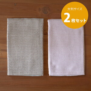 y2ZbgzyvLb`ʒztRJ@Lb`NX@sNJ[X@唻TCY@46×70cm@/@Fucoca.y1_܂ŃlR|Xz@/@J[ R hL  ӂ H@ 