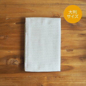 y15 N[|ΏہzyvLb`ʒztRJ@Lb`NX@CgO[@唻TCY@46×70cm@/@Fucoca.@/@y2_܂ŃlR|XzIWiJ[ R hL  ӂ