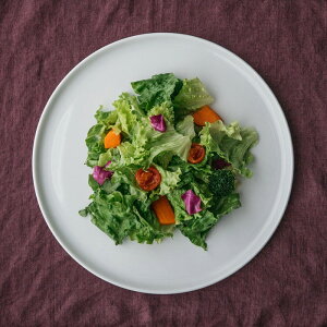 y12/5ő100PobNzsBbc@Eh@P[Lv^[@30cm@P104@/@PILLIVUYT@/@ێM tbgv[g tX H M Ȃ mH JtF Ɩp