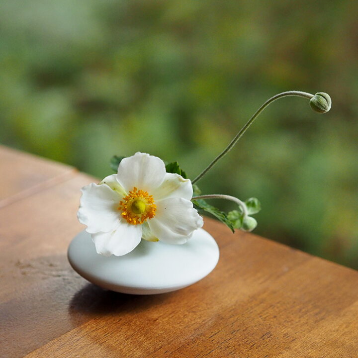 楽天市場 しつらい 花活 扁 花瓶 一輪挿し 卓上花 磁器 ギフト 贈り物 プレゼント フラワーベース 花 プロキッチン