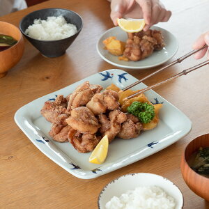 y11/25ő100PobNz؎q@FG@΂߁@pۃv[g@/@J aH M pM `v[g v[g Ƃ  { ͂Ȃ