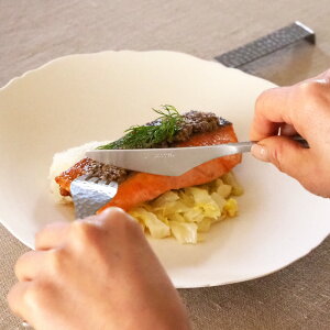 y@WASABI@fBi[iCt@/@SOHDO@y10_܂ŃlR|Xz/@Jg[ XeX Ɩ Vo[ }bg H@Ή Vs { Y v[g Mtg