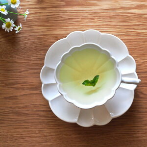 y10 N[|Ώہzy11/10N[|ő100PobNzX^WIG@uP@Jbv\[T[@@/@STUDIO@M'@LE@BOUQUET@/@X^WIm H Jbv\[T[ g Mtg 