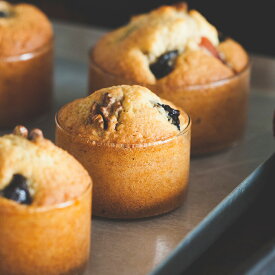 ボロシル　ヴィジョン　カトーリ　スモール（KS）　/　BOROSIL　VISION　KATORIE　SMALL