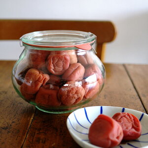 y|Cg3{zEFbN@fRVFCv@1000ml@aLTCY@/@WECK@/@KXLjX^[ ۑe ۑ  rl fRVFCv Mtg v[g [ hCc  