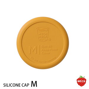 y|Cg3{zEFbN@VRLbv@}X^[h@M@/@WECKy8_܂ŃlR|Xz / JߊyX ӂ W t^ VR ٓ AEghA