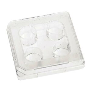 IVFp4EG}`fBbV(̊O󐸗p)66*66mm 1(4^*30) 144444