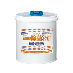 NVA ۃEFbg^I oPc^Cv 250 R a@  t̉t̐@