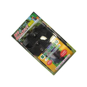 񂵂XpCN 2 24.5`28.0cm