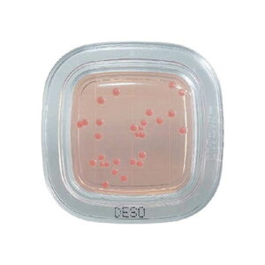 ؂`FbN(R)DD fILVR[gV|n 1 (20) PD0003