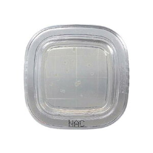 ؂`FbN(R)DD NACV|n 1 (20) PD0025